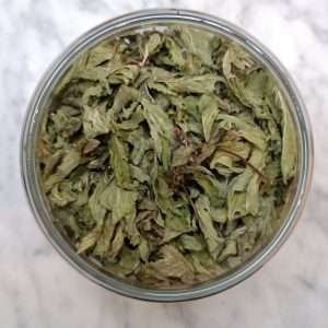 Menthe Poivrée - 100g